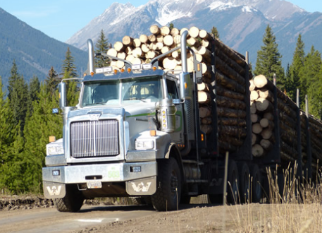 log hauler, logging truck